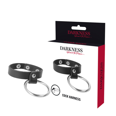 DARKNESS METAL RING FOR THE PENIS AND TESTICLES - D-226733 - Dona Pimenta