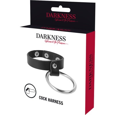 DARKNESS METAL RING FOR THE PENIS AND TESTICLES - D-226733 - Dona Pimenta