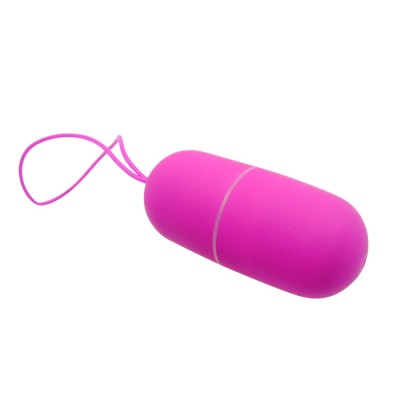 PRETTY LOVE HUEVO VIBRADOR ARVIN CONTROL REMOTO 12V - D-208185 - Dona Pimenta