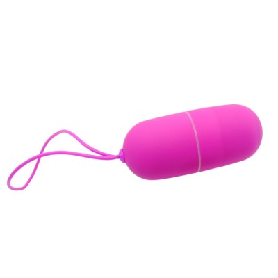 PRETTY LOVE HUEVO VIBRADOR ARVIN CONTROL REMOTO 12V - D-208185 - Dona Pimenta