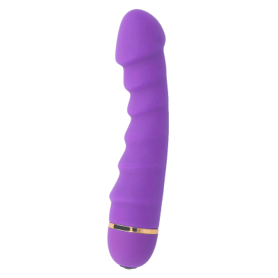 INTENSO SALLY 20 VELOCIDADES SILICONE ROXO - D-216080 - Dona Pimenta