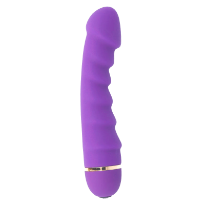 INTENSO SALLY 20 VELOCIDADES SILICONE ROXO - D-216080 - Dona Pimenta