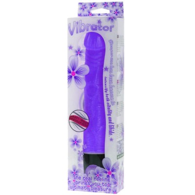 BAILE VIBRATOR MULTI-SPEED 21.5 CM PURPLE - D-219237 - Dona Pimenta