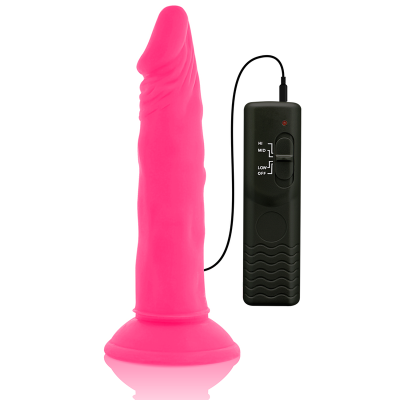 DIVERSIA - DILDO FLEXÍVE COM VIBRAÇÃO 23 CM - ROSA - D-231124 - Dona Pimenta