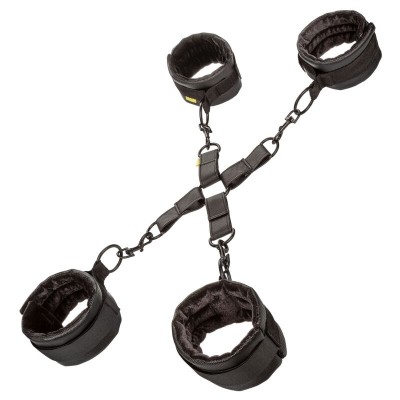 CALEX BOUNDLESS HOG TIE - D-229185 - Dona Pimenta