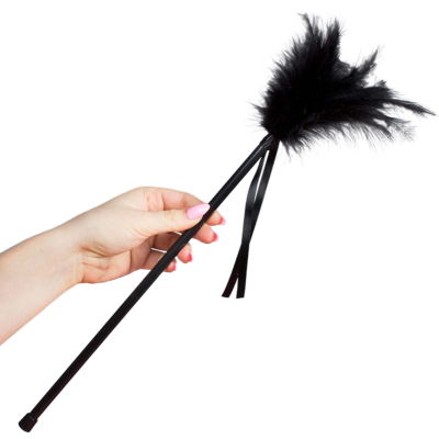 SECRETPLAY PLUMERO PLUMAS NEGRO 40CM - D-216317 - Dona Pimenta