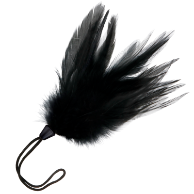 DARKNESS BLACK FEATHER 17cm - D-221172 - Dona Pimenta