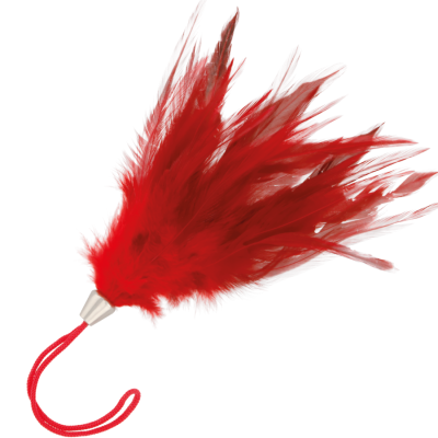 DARKNESS RED FEATHER 17cm - D-221173 - Dona Pimenta