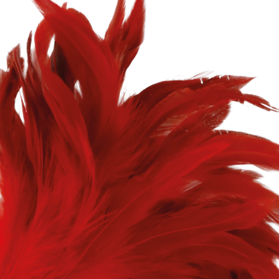 DARKNESS RED FEATHER 24cm - D-221178 - Dona Pimenta