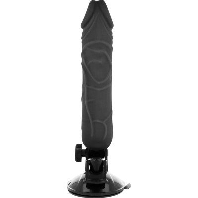 BASECOCK - VIBRADOR DE CONTROLE REMOTO NATURAL REALISTA 20 CM - D-223004 - Dona Pimenta