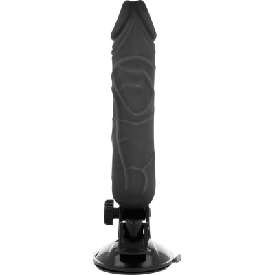 BASECOCK - VIBRADOR DE CONTROLE REMOTO NATURAL REALISTA 20 CM - D-223021 - Dona Pimenta