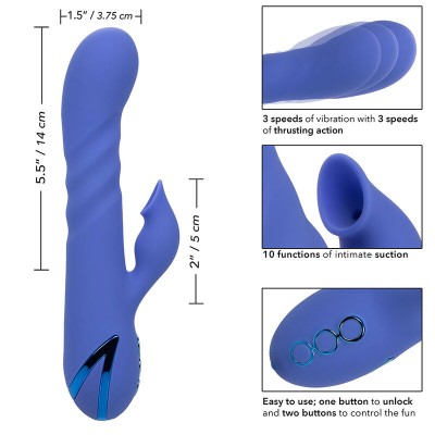 CALIFORNIA EXOTICS - LA LOVE VIBRADOR & SUCKER BLUE POR CALIFORNIA DREAMING - D-239403 - Dona Pimenta