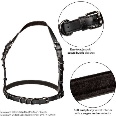 CALIFORNIA EXOTICS - EUPHORIA ARNÊS DE FIVELA HALTER PRETO - D-239246 - Dona Pimenta