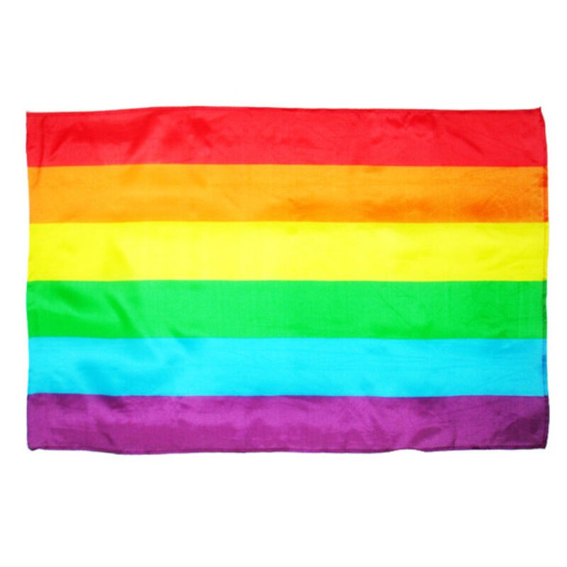 ORGULHO - GRANDE BANDEIRA LGBT - D-231746 - Dona Pimenta