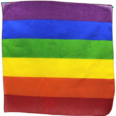 PRIDE - LGBT SCARF 50 X 54 - D-235523 - Dona Pimenta