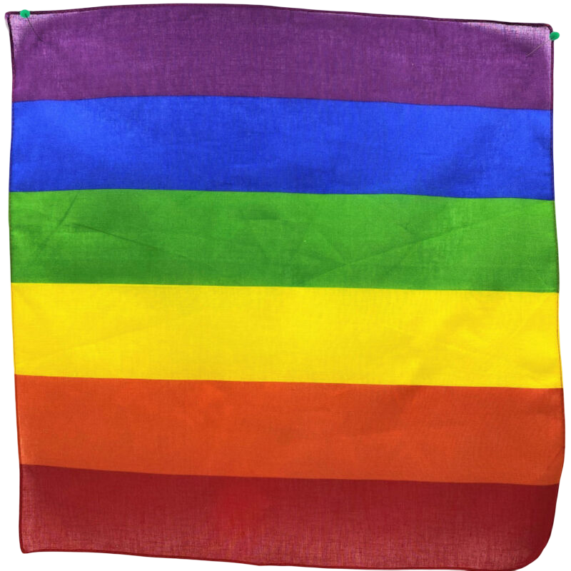 PRIDE - LGBT SCARF 50 X 54 - D-235523 - Dona Pimenta