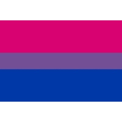 ORGULHO - BANDEIRA BISEXUAL PULSEIRA 90 X 150 - D-235534 - Dona Pimenta