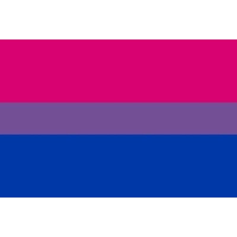 ORGULHO - BANDEIRA BISEXUAL PULSEIRA 90 X 150 - D-235534 - Dona Pimenta