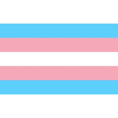 ORGULHO - BANDEIRA TRANSEXUAL 90 X 150 - D-235535 - Dona Pimenta