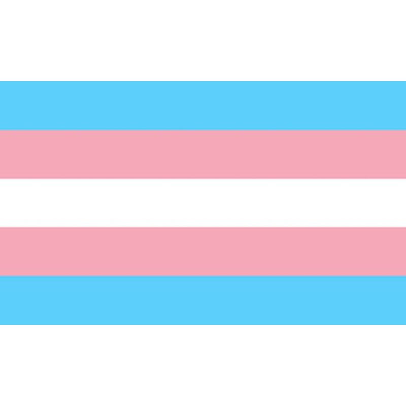 ORGULHO - BANDEIRA TRANSEXUAL 90 X 150 - D-235535 - Dona Pimenta