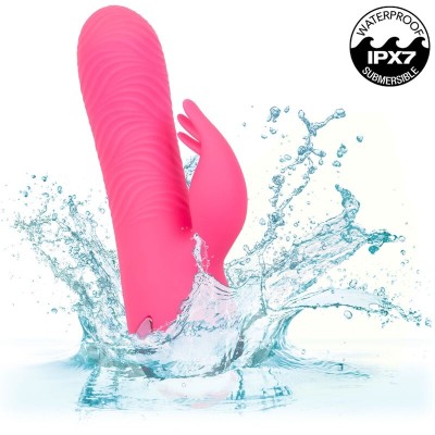 CALEXOTICS - SACRAMENTO SWEETIE VIBRADOR COELHO ROSA POR CALIFORNIA DREAMING - D-239982 - Dona Pimenta