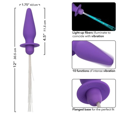 CALEXOTICS - SOUTHERN LIGHTS LIGHT UP ANAL PLUG 10 VIBRAÇÕES SILICONE ROXO - D-241437 - Dona Pimenta