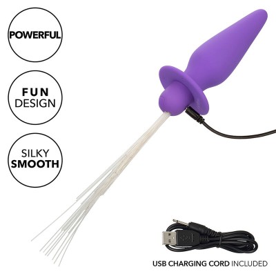 CALEXOTICS - SOUTHERN LIGHTS LIGHT UP ANAL PLUG 10 VIBRAÇÕES SILICONE ROXO - D-241437 - Dona Pimenta