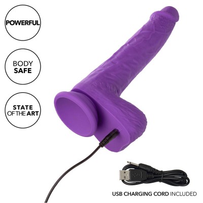 CALEXOTICS - STUDS VIBRADOR ROTATIVO E RECARREGÃVEL 10 VIBRAÇÕES ROXO - D-241439 - Dona Pimenta