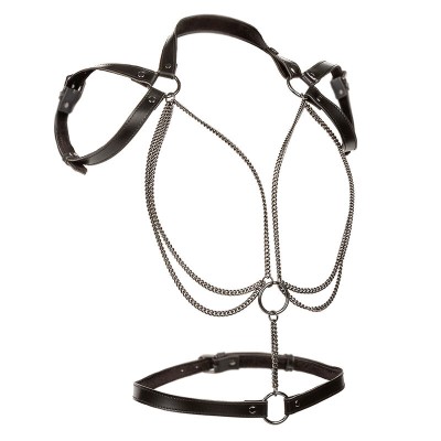 CALEXOTICS - EUPHORIA MULTICAIN HALTER HARNESS PREMIUM TAMANHO PLUS - D-241475 - Dona Pimenta