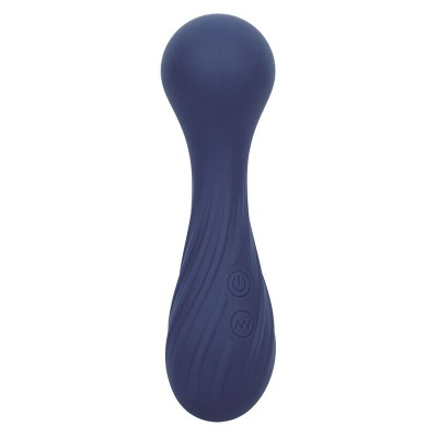 CALEXOTICS - CHARISMA TEMPTATION MASSAGER 12 FUNÇÕES ROXO - D-241462 - Dona Pimenta