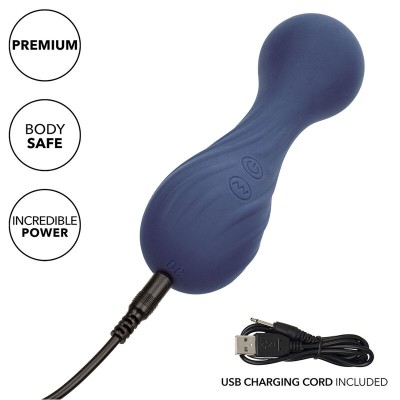 CALEXOTICS - CHARISMA TEMPTATION MASSAGER 12 FUNÇÕES ROXO - D-241462 - Dona Pimenta