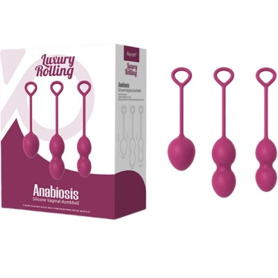 ARMONY - ANABIOSIS VAGINAL DUMBBELL 3 NÍVEIS BORGONHA - D-241126 - Dona Pimenta